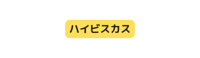 ハイビスカス