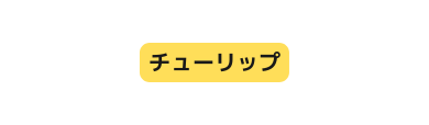 チューリップ