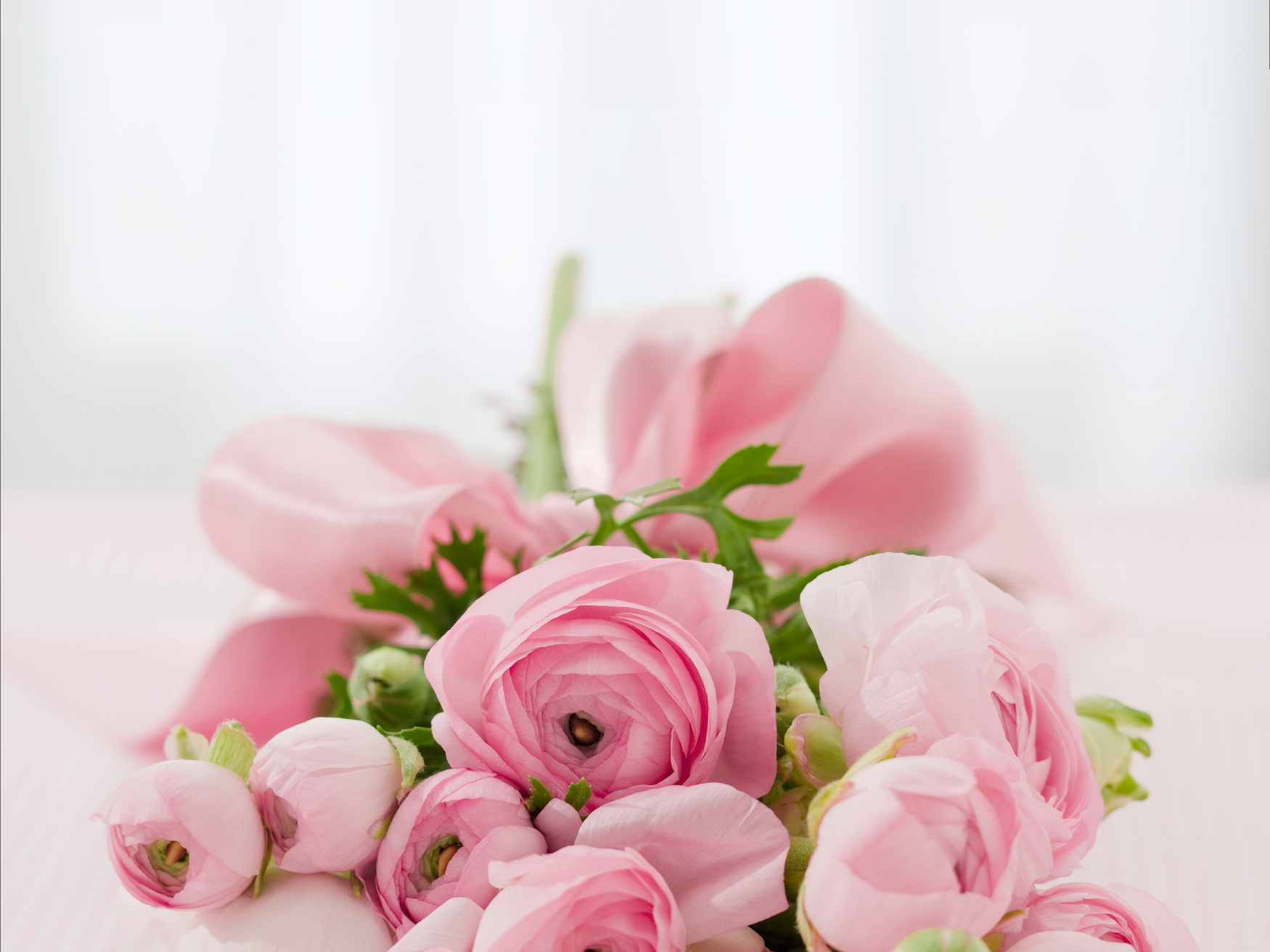 Bouquet of Rose Flowers